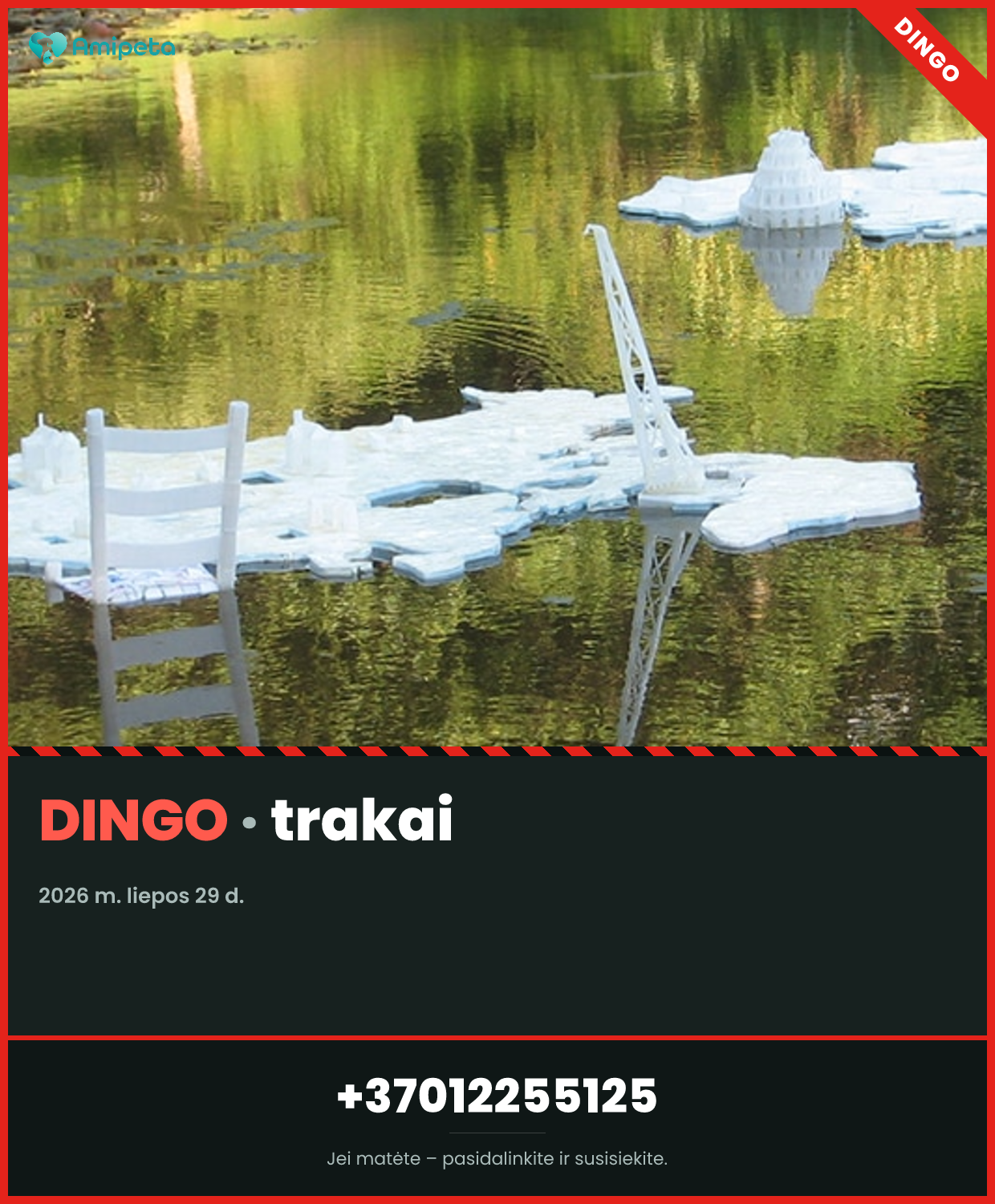 Dingęs augintinis – trakai