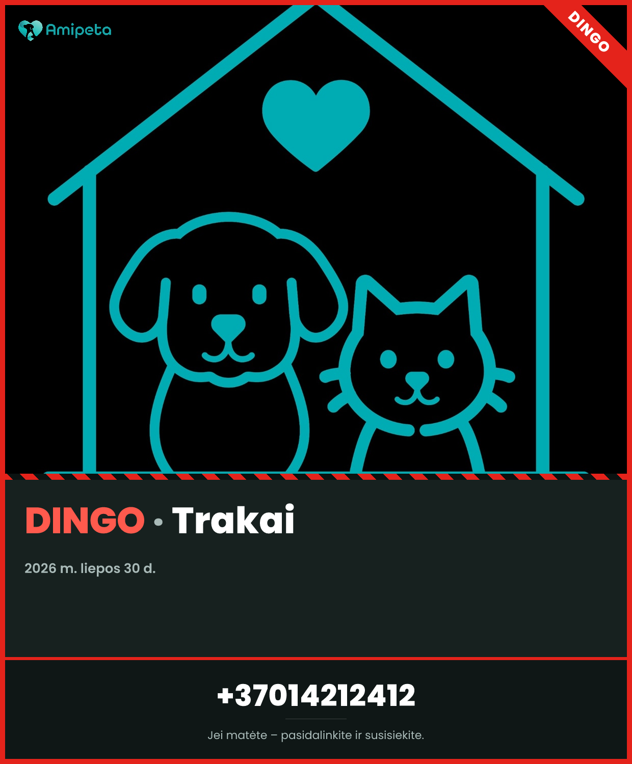 Dingęs augintinis – Trakai