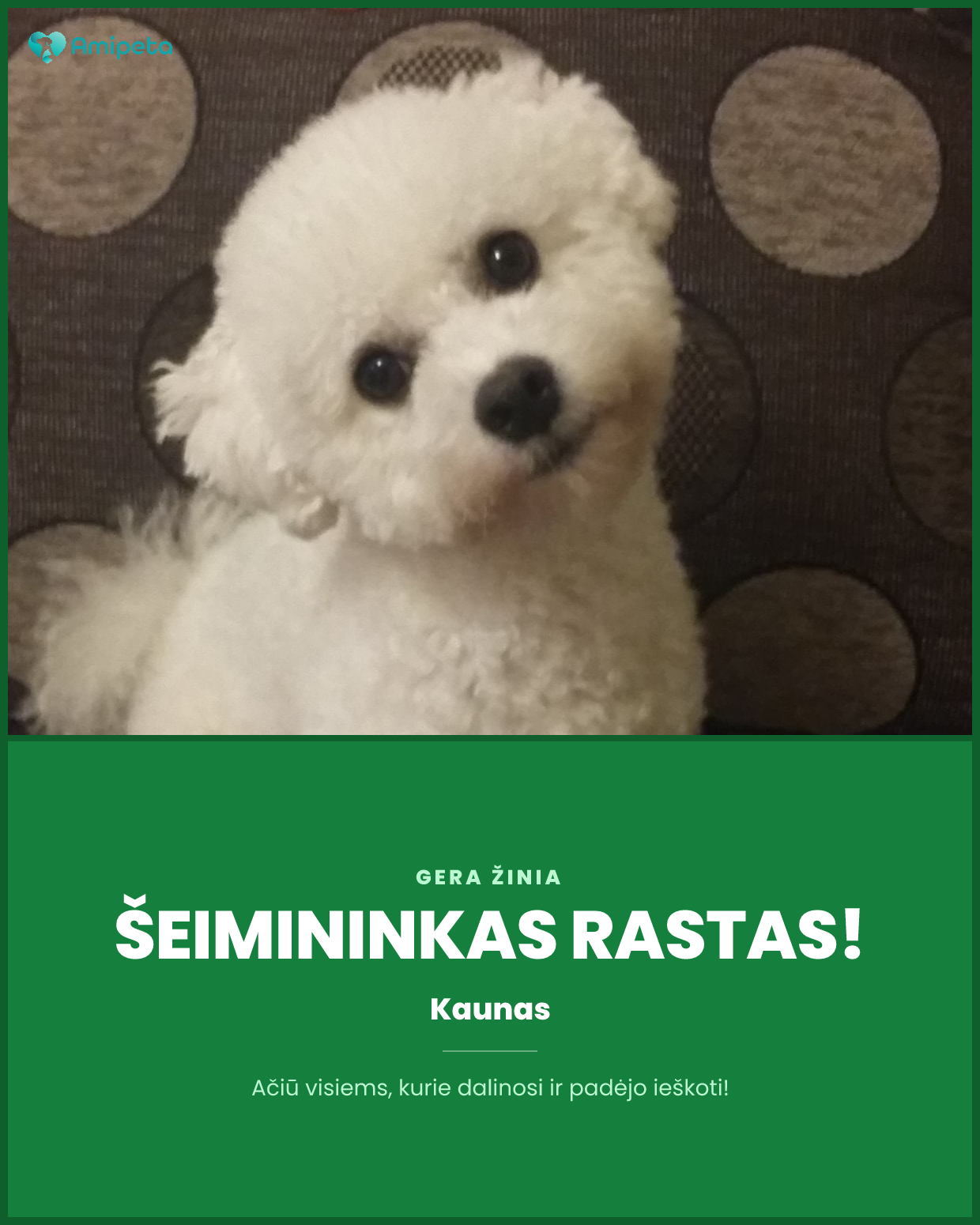Atsirado šeimininkas – Kaunas