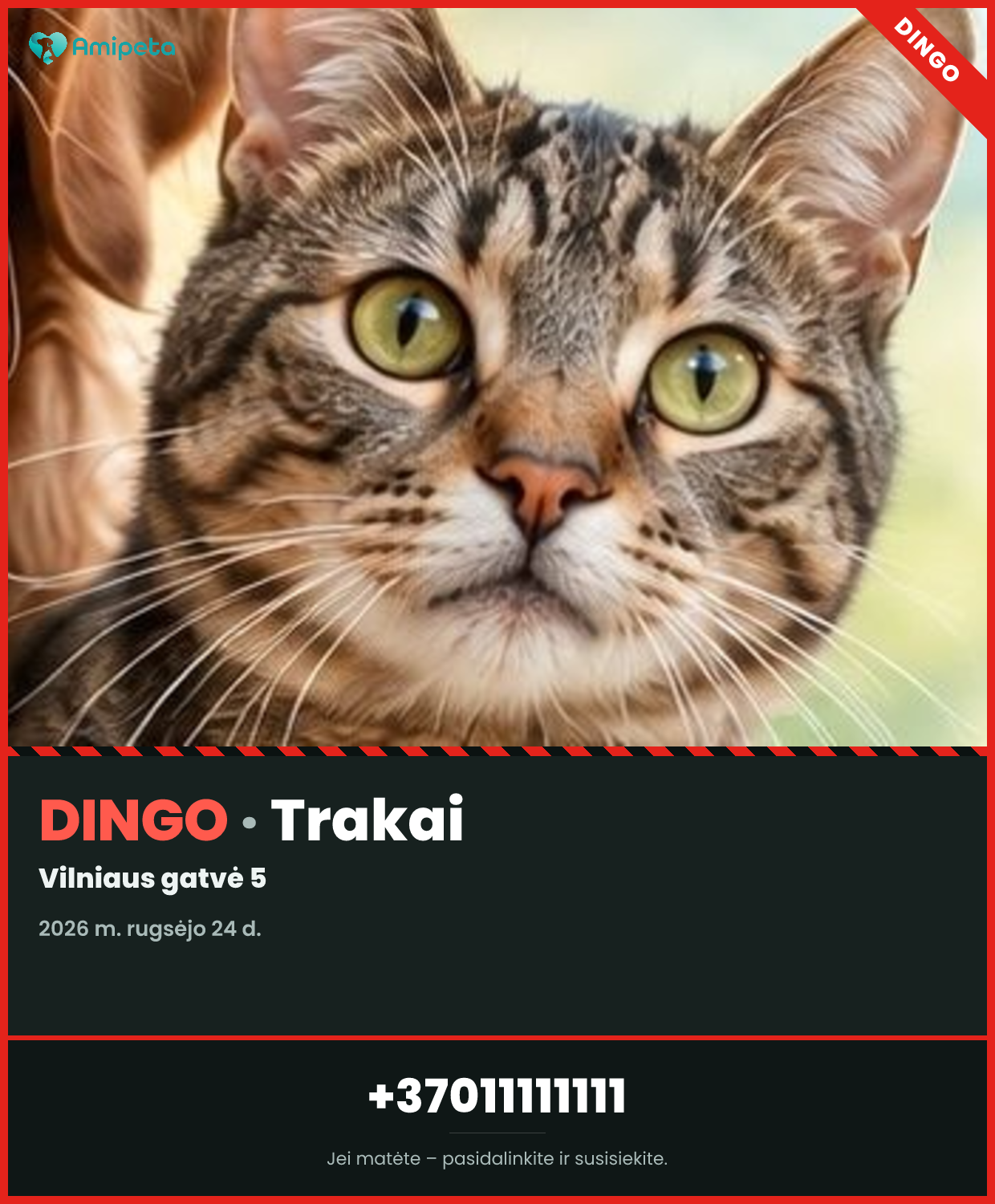 Dingęs augintinis – Trakai