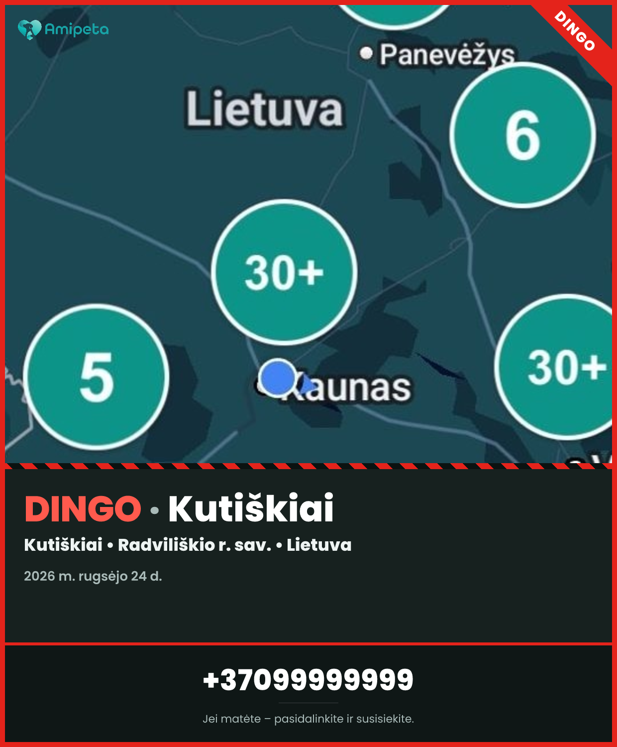 Dingęs augintinis – Kutiškiai
