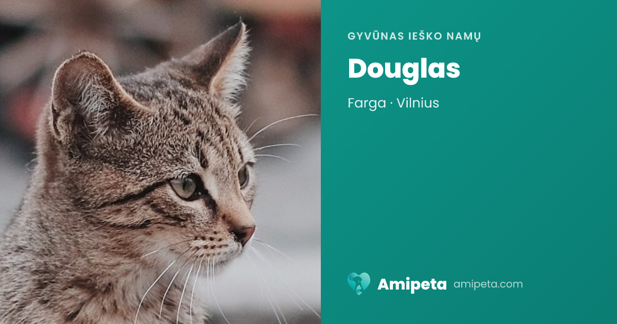 Douglas ieško namų | Amipeta
