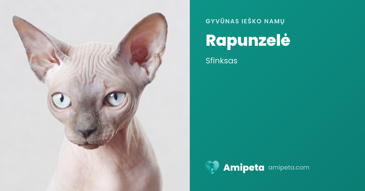 Rapunzelė ieško namų | Amipeta