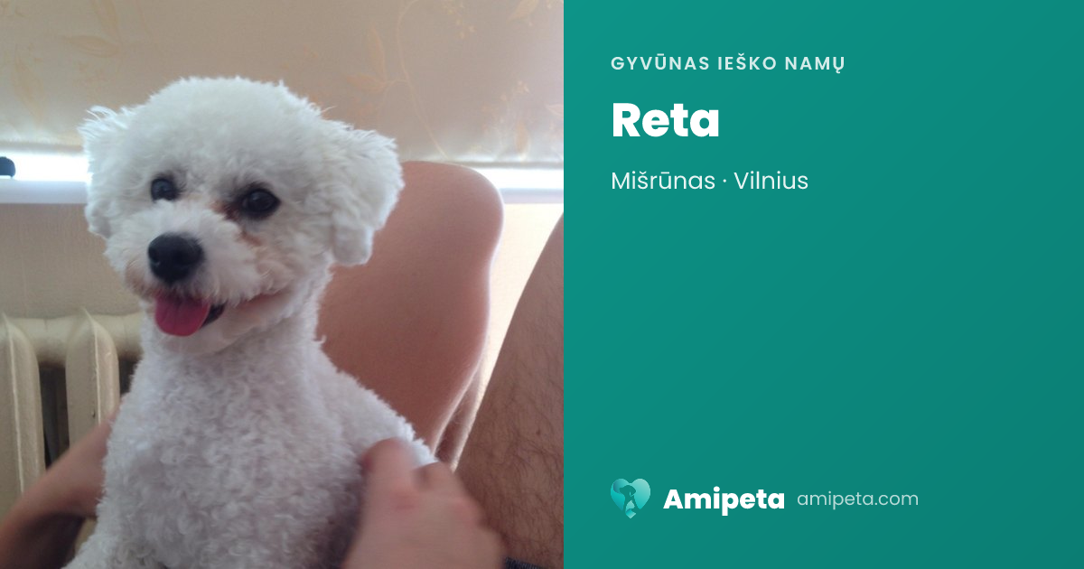 Reta ieško namų | Amipeta