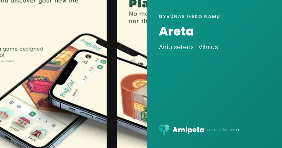 Areta ieško namų | Amipeta